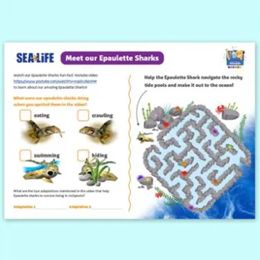 Shark Worksheet Tile