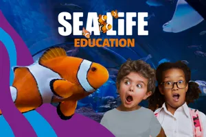 SEALIFE Schools CRM TOPPER 2