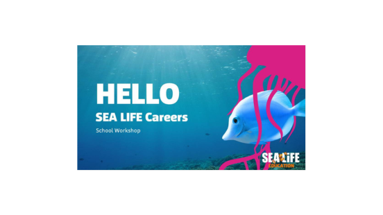 SEA LIFE Careers