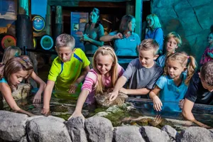 Sealife Schools Rockpool Group | SEA LIFE Aquarium