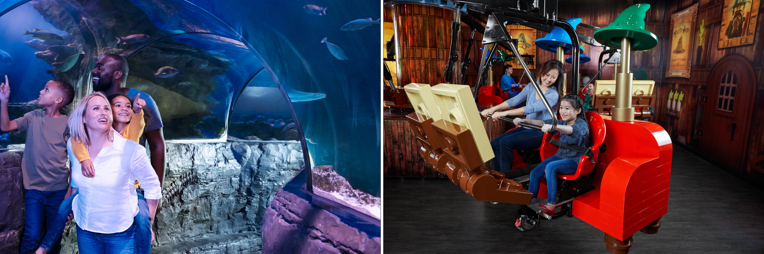Combo Ticket and Save Money | LEGOLAND Discovery Center | SEA LIFE Aquarium