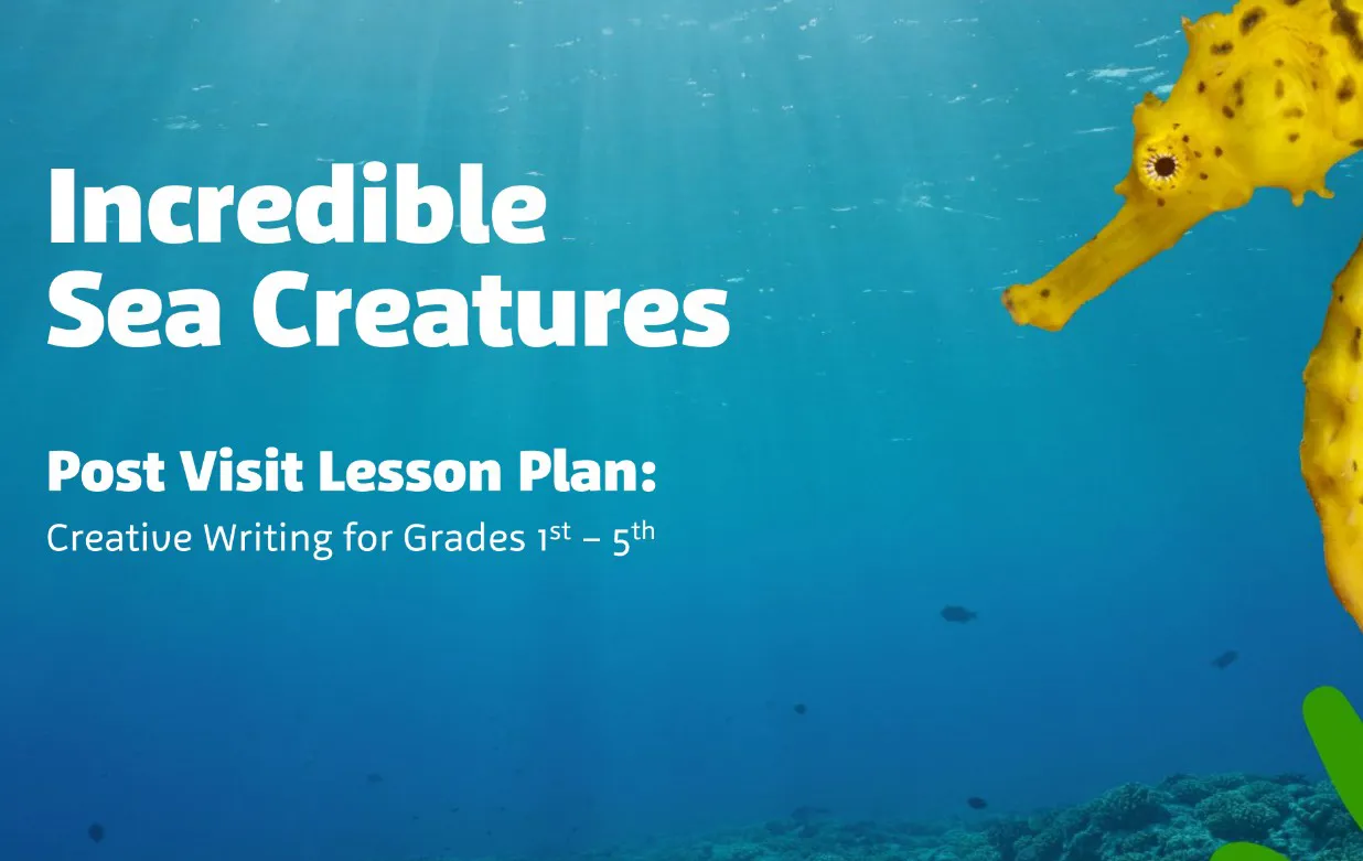 Sea life homeschool post visit activity