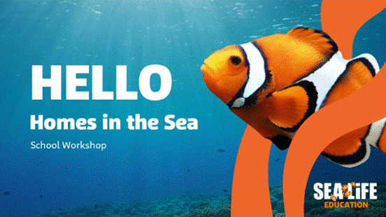 Homes In The Sea Workshop Web Tile