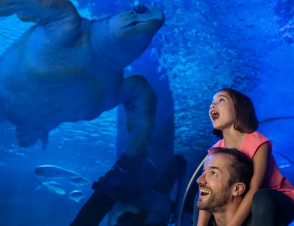 Membership | SEA LIFE Aquarium