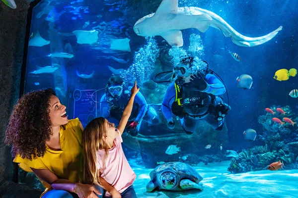 Sealife Fallfunsale2024 Imageonly 600X400