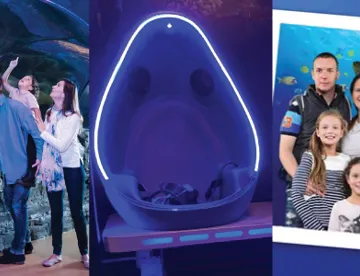 Seaworld Kc SEA LIFE Kansas City Aquarium | Aquarium at the Crown Center