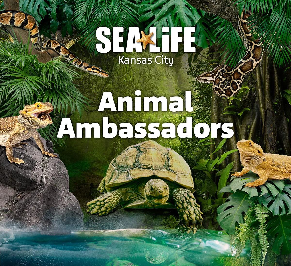 Thumbnail Animalambassadors Sm 03