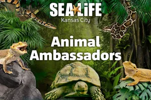 Thumbnail Animalambassadors Sm 03