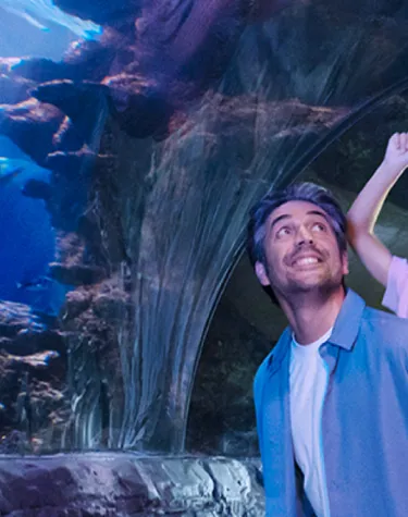 sea life kansas city aquarium