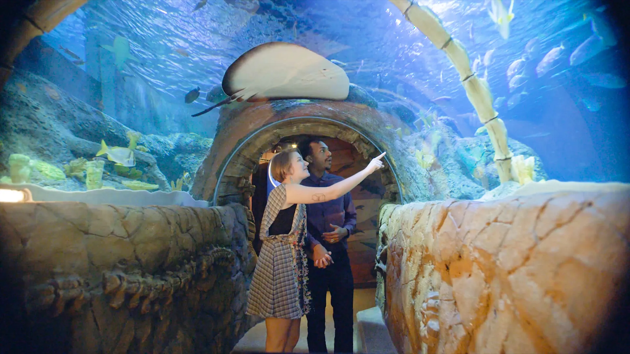 What's Inside SEA LIFE Kansas City Aquarium