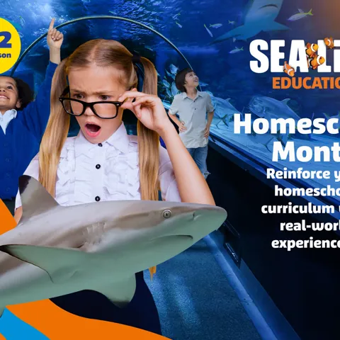 SL HOMESCHOOL KV FOR EDITING