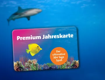 SL Premium Jahreskarte 360X276