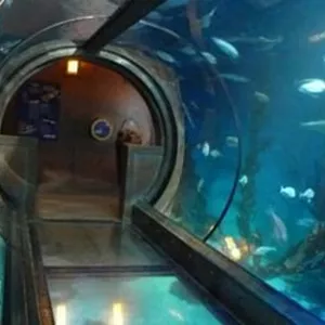 Sea Life Koenigswinter 360 Glastunnel