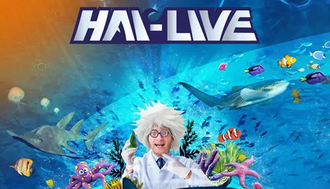 Hai Live (3)