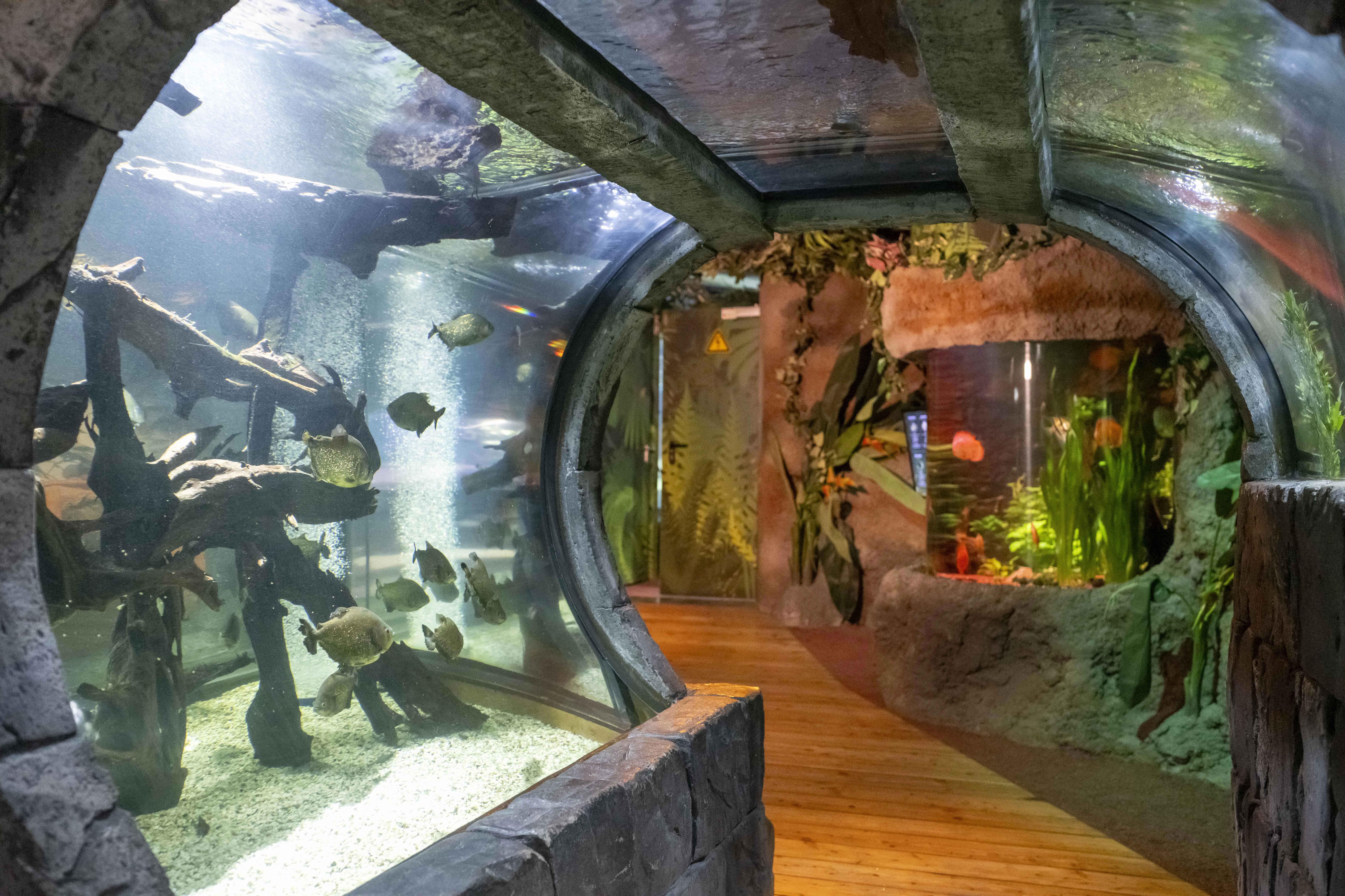 Sealife Konstanz II 2024 002