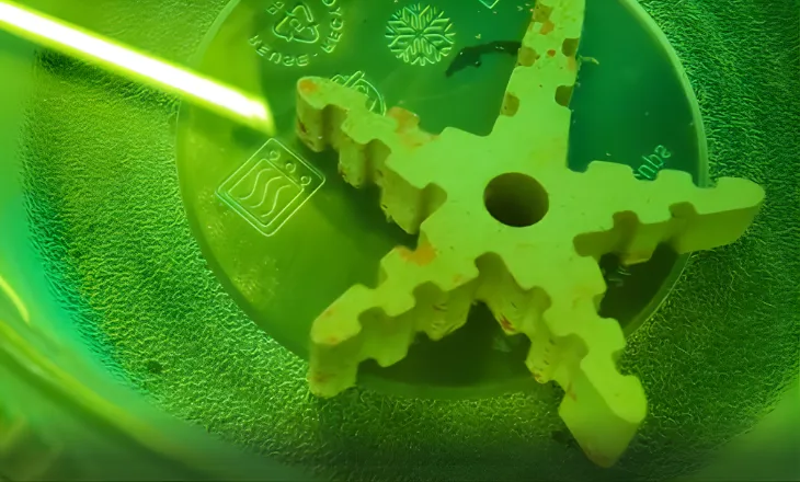 Teil 4 So Entsteht Neues Leben (1)