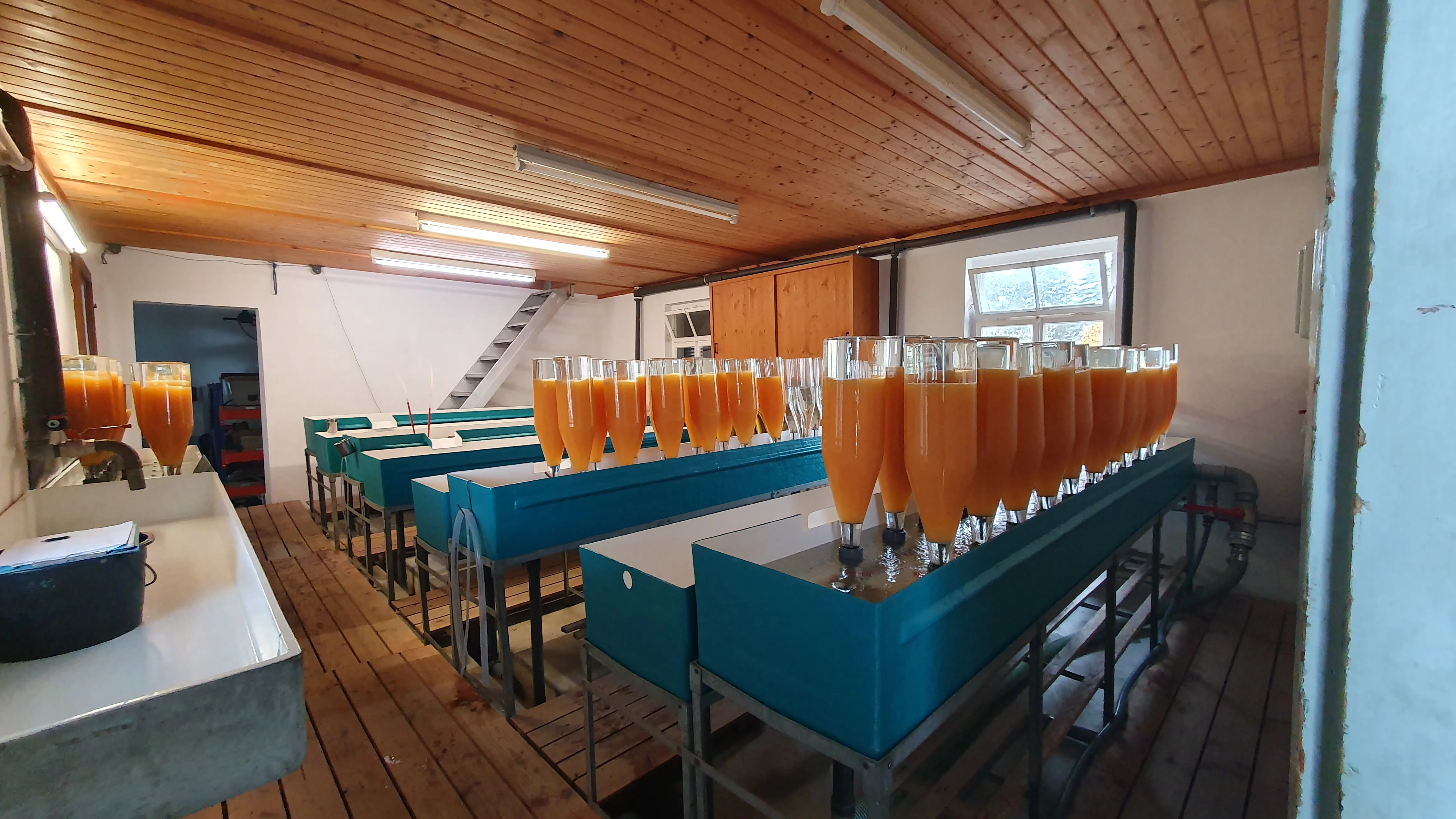 Fischbrutanstalt Insel Reichenau