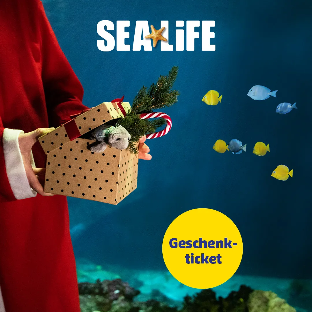 SL Geschenkticket 1080X1080px