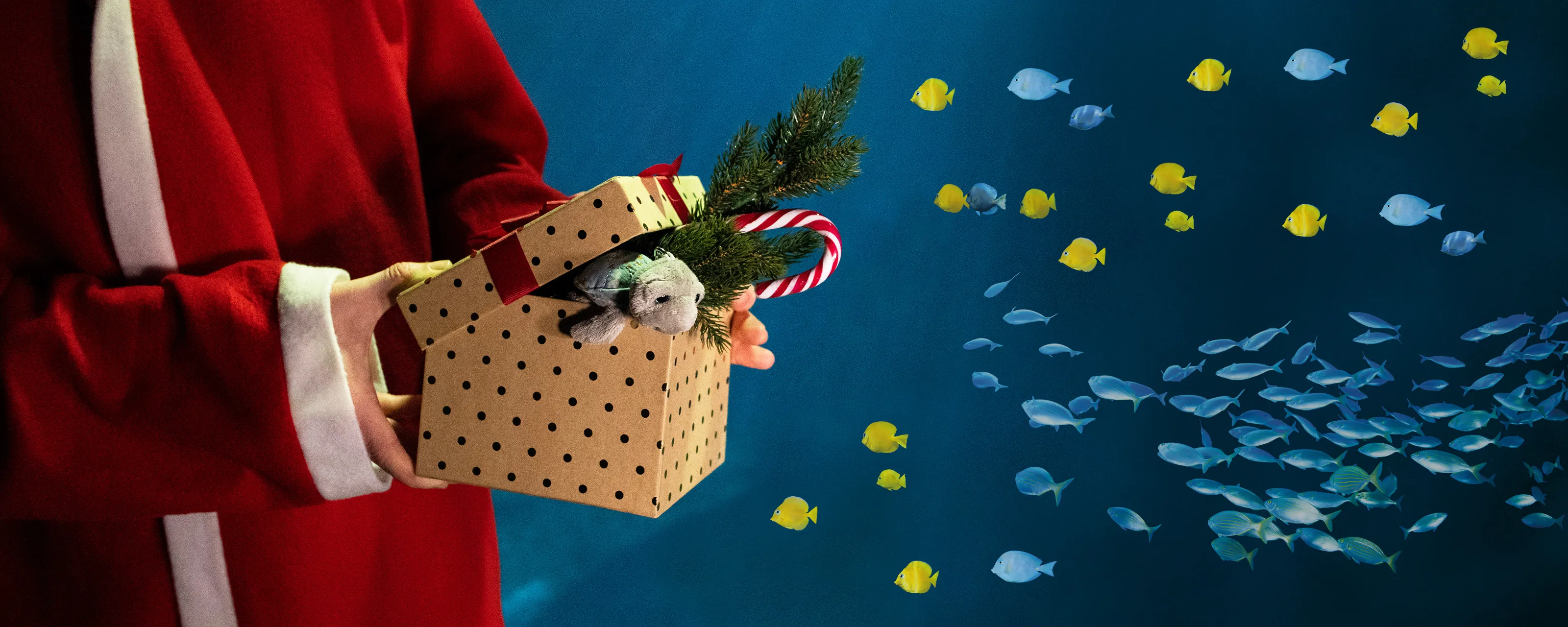 SEA LIFE Geschenkticket Weihnachten 3200X1280