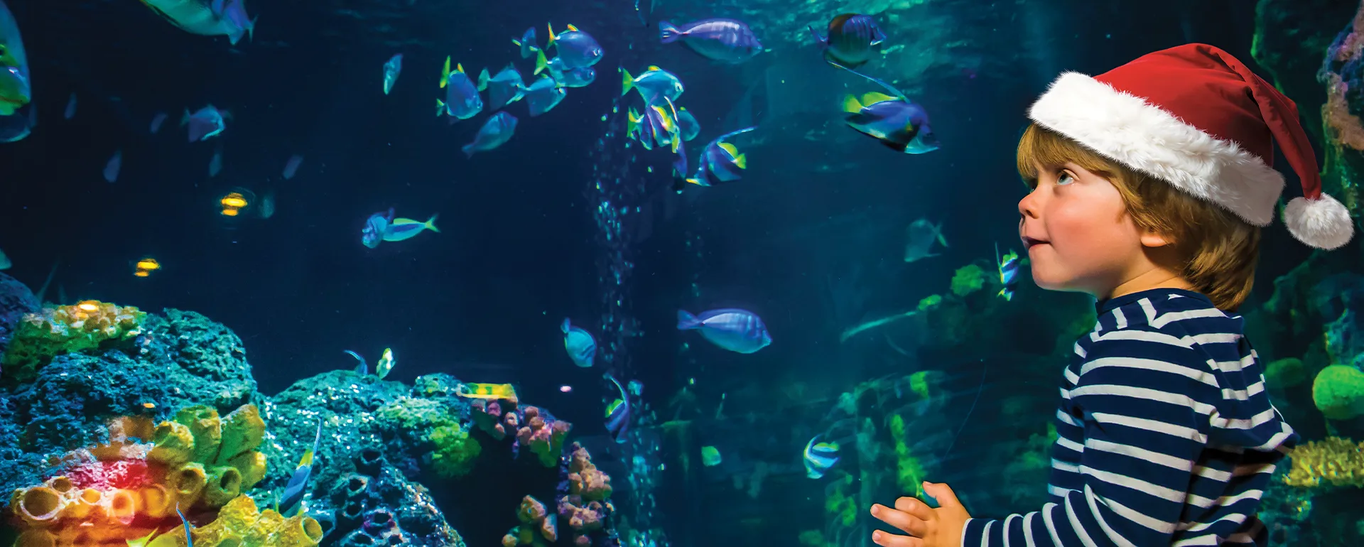 SL KON Web Header Desktop 1920X770px