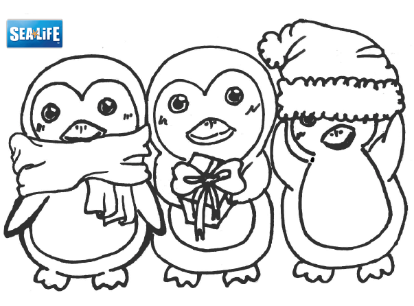 coloring picture penguin