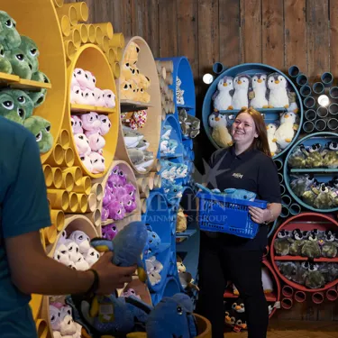 MA Mit Kuscheltieren