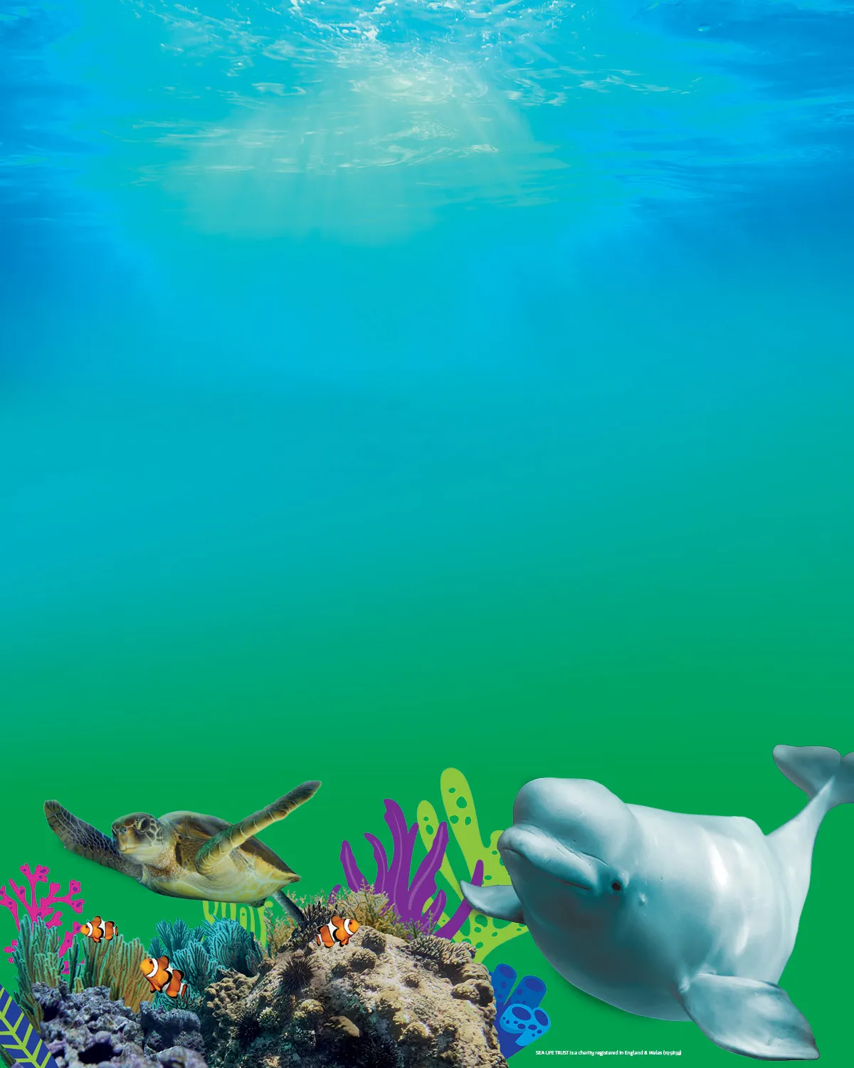 World Ocean Day