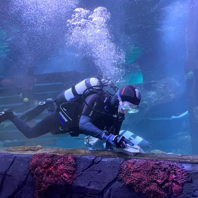 Senior Aquarist Dennis Reinigt Das Ozeanbecken