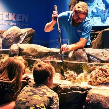 Sealife KN 02 2023 033