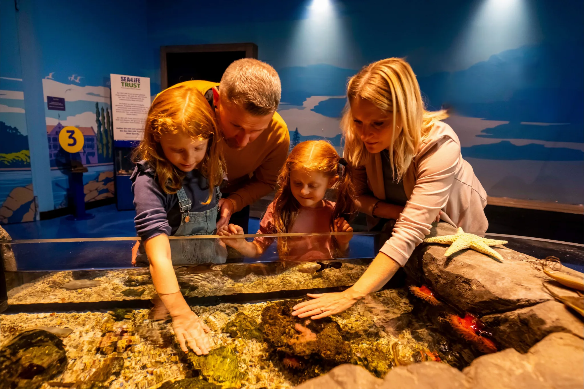 Sealife Konstanz Entdeckerbecken