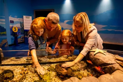 Sealife Konstanz Entdeckerbecken