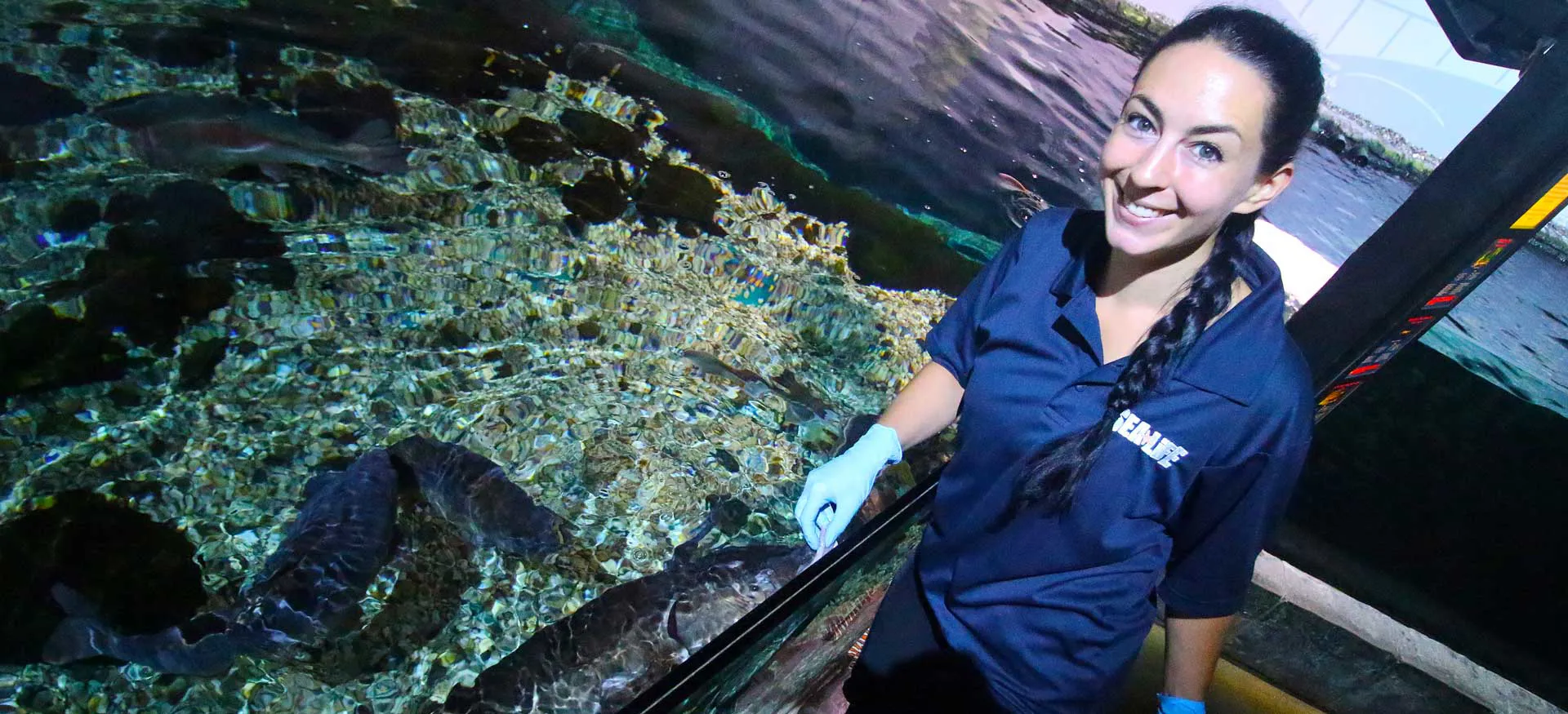 Sea Life Konstanz Aquaristin Bei Fuetterungen