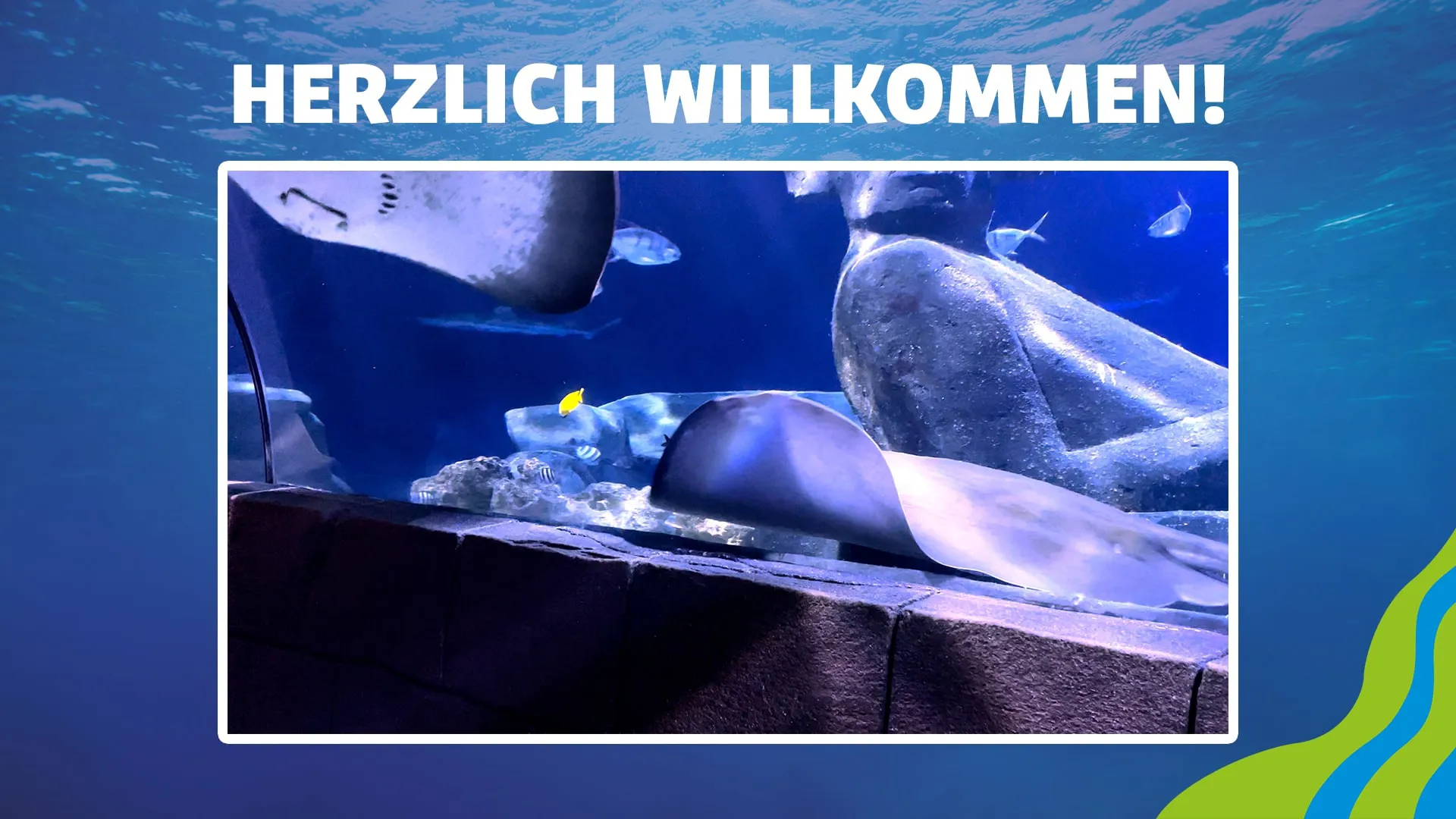 SEALIFE Willkommen