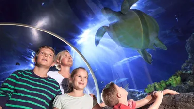 Sea Life Konstanz Final Format Min