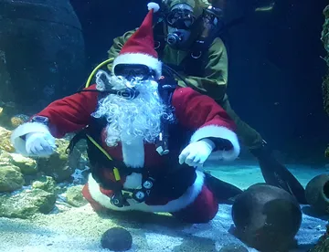 Nikolaus & Rentier