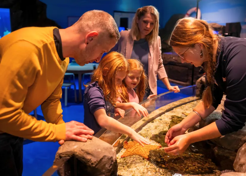 Entdeckerbecken Mit Familie