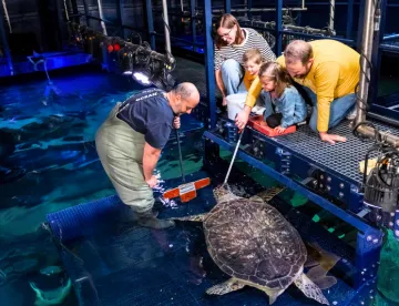 Ticket Website 360X276px Family Schildkrötenfütterung