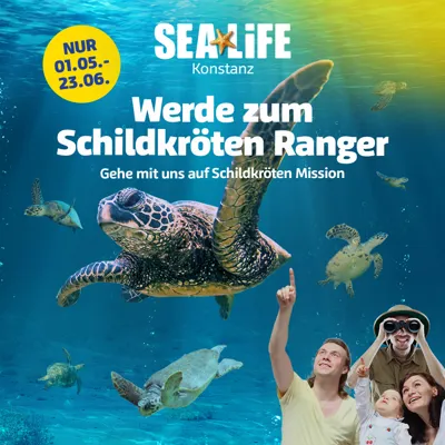 SL KON Turtle Social 1080X1080px Update