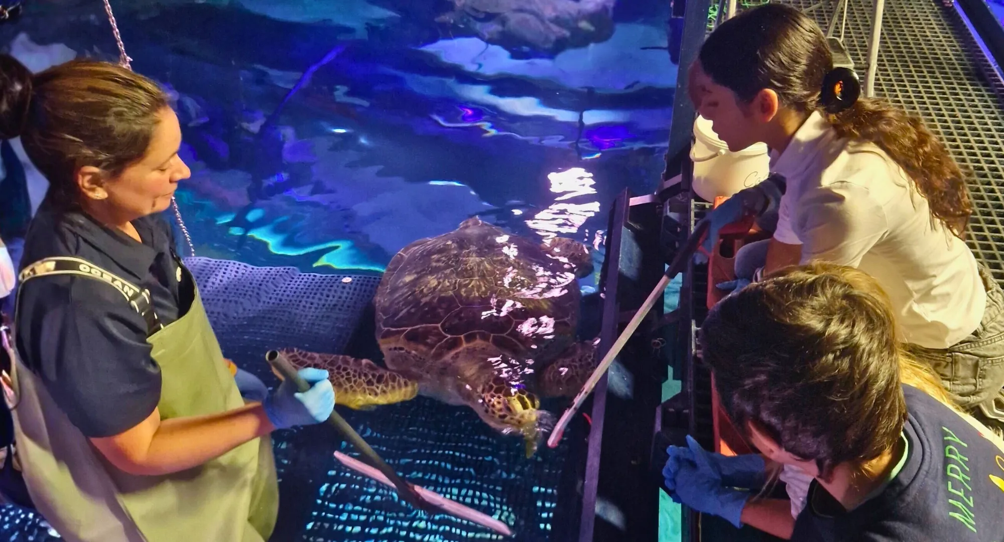 Junge Umweltschützer 3Tes Treffem (1)