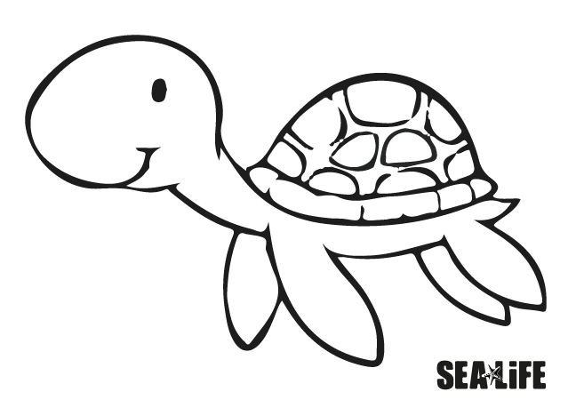 coloring picture turtle