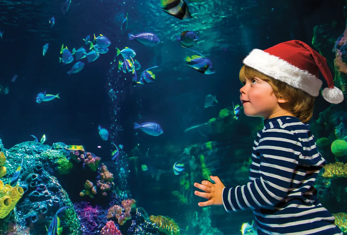 SL KON Web Header Mobile 1120X760px