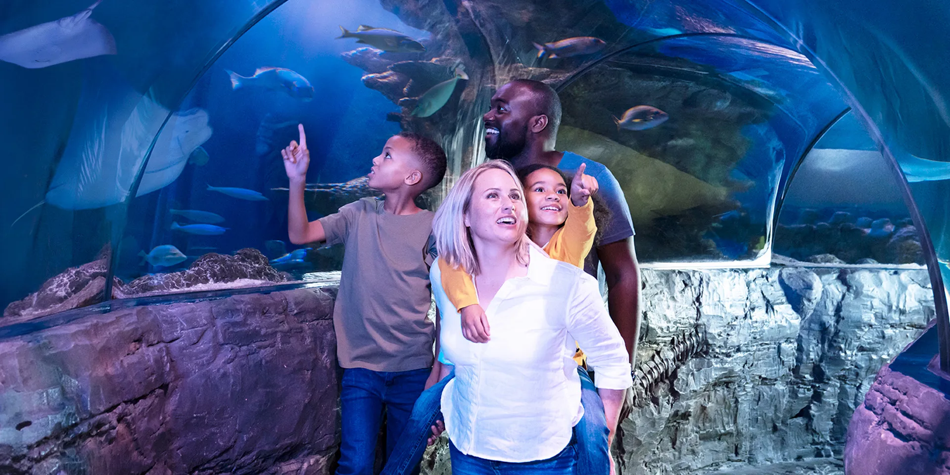 SEA LIFE Familienticket 1920X960