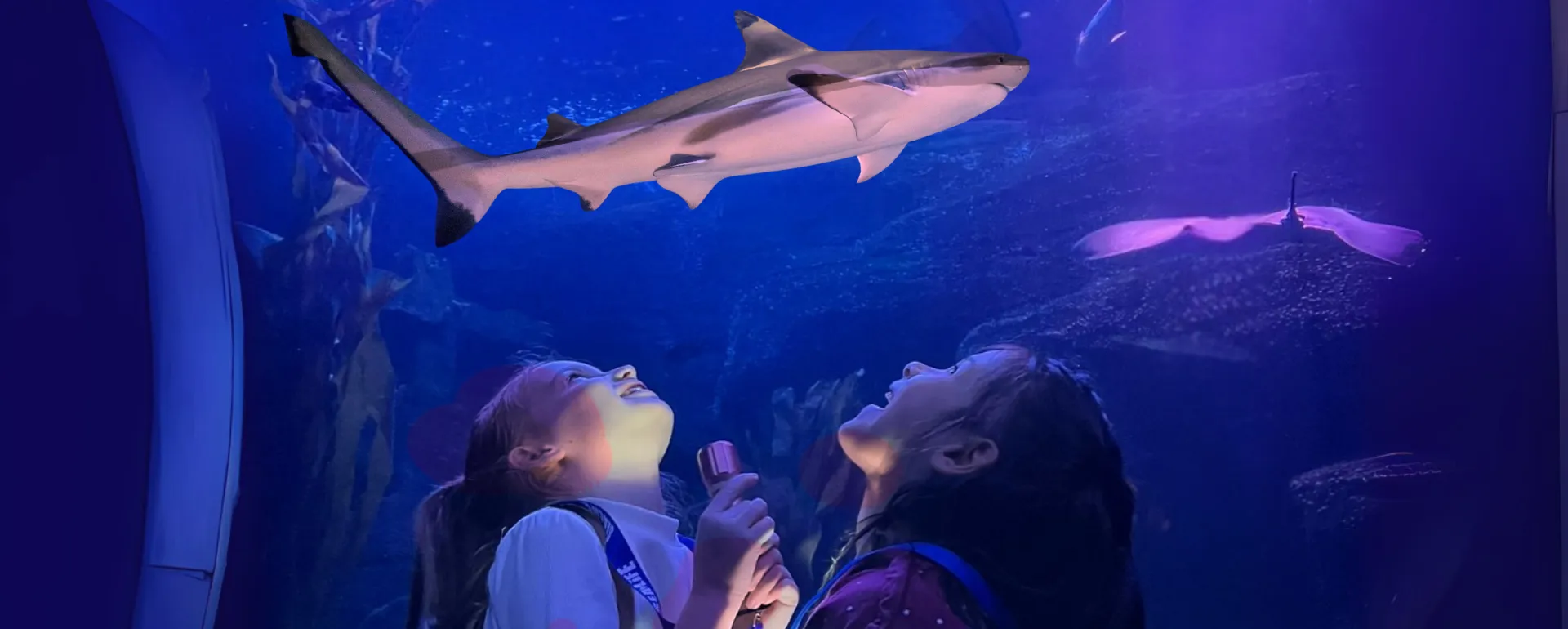 Header Website 1920X770px Desktop