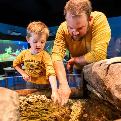 SEA LIFE Konstanz Entdeckerbecken