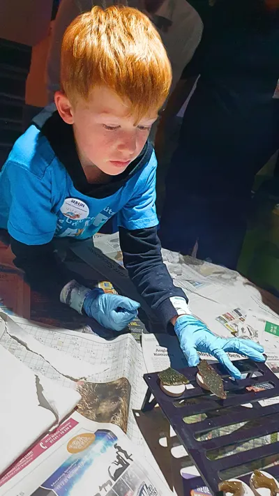 SEA LIFE Konstanz Junger Umweltschützer Beim Einsetzen Der Koralle