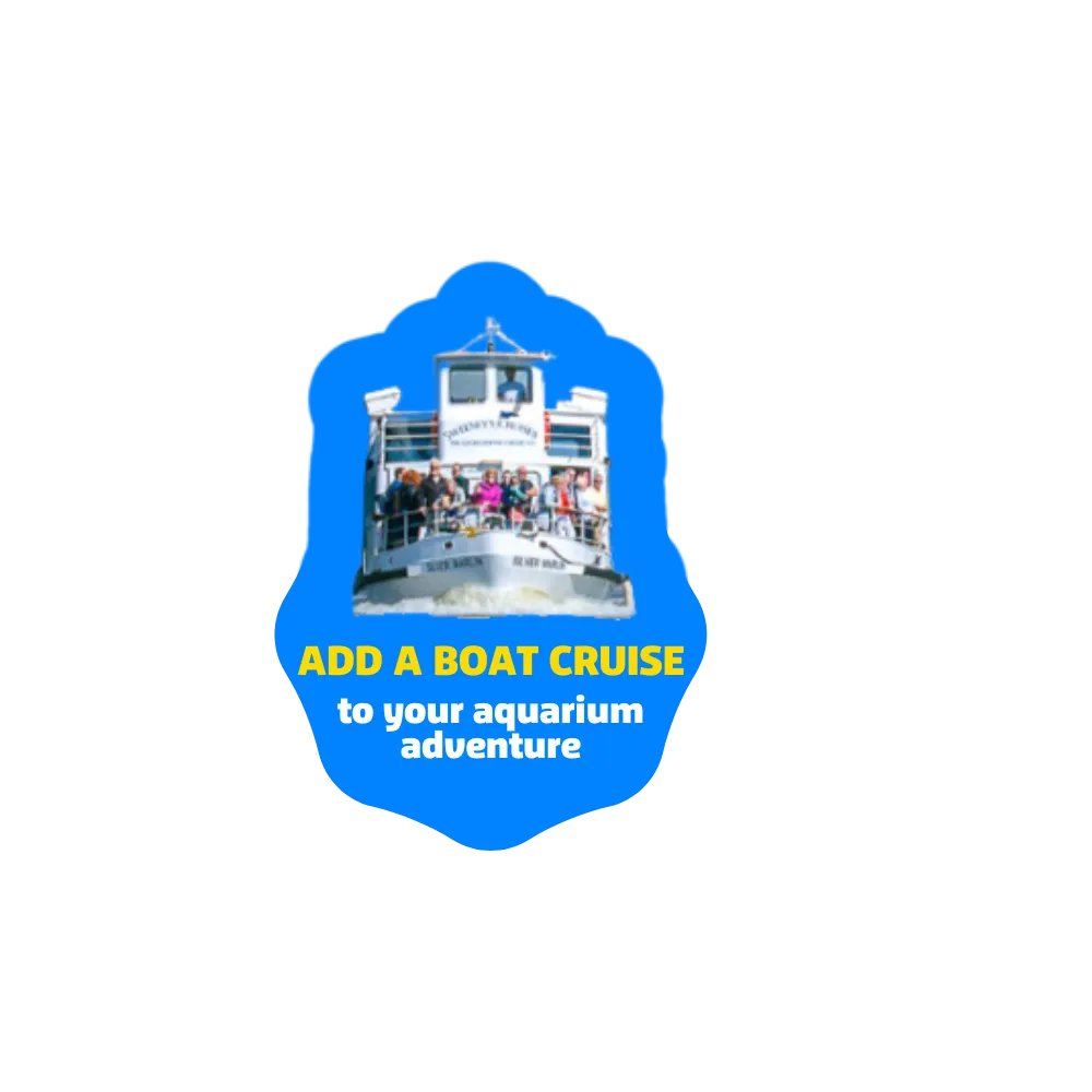 Visit SEA LIFE Loch Lomond Aquarium Centre