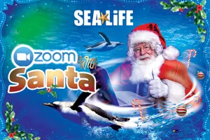 Zoom with Santa at SEA LIFE