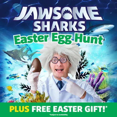 Jawsome Easter Egg Hunt Digital 1080X1080no Date