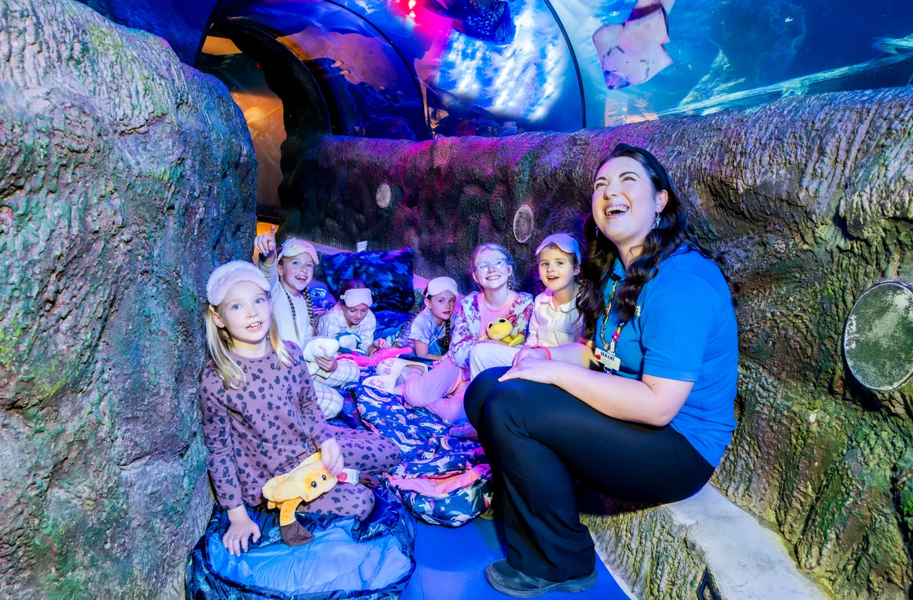 Screenshot 2025 10 30 152828