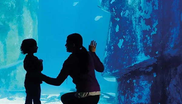 Adult And Child Aquarium